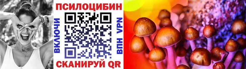 закладки  Льгов  Псилоцибиновые грибы Psilocybe 